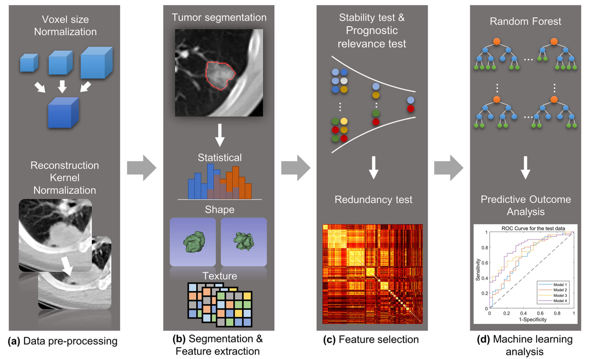 European Radiology 2022 Figure