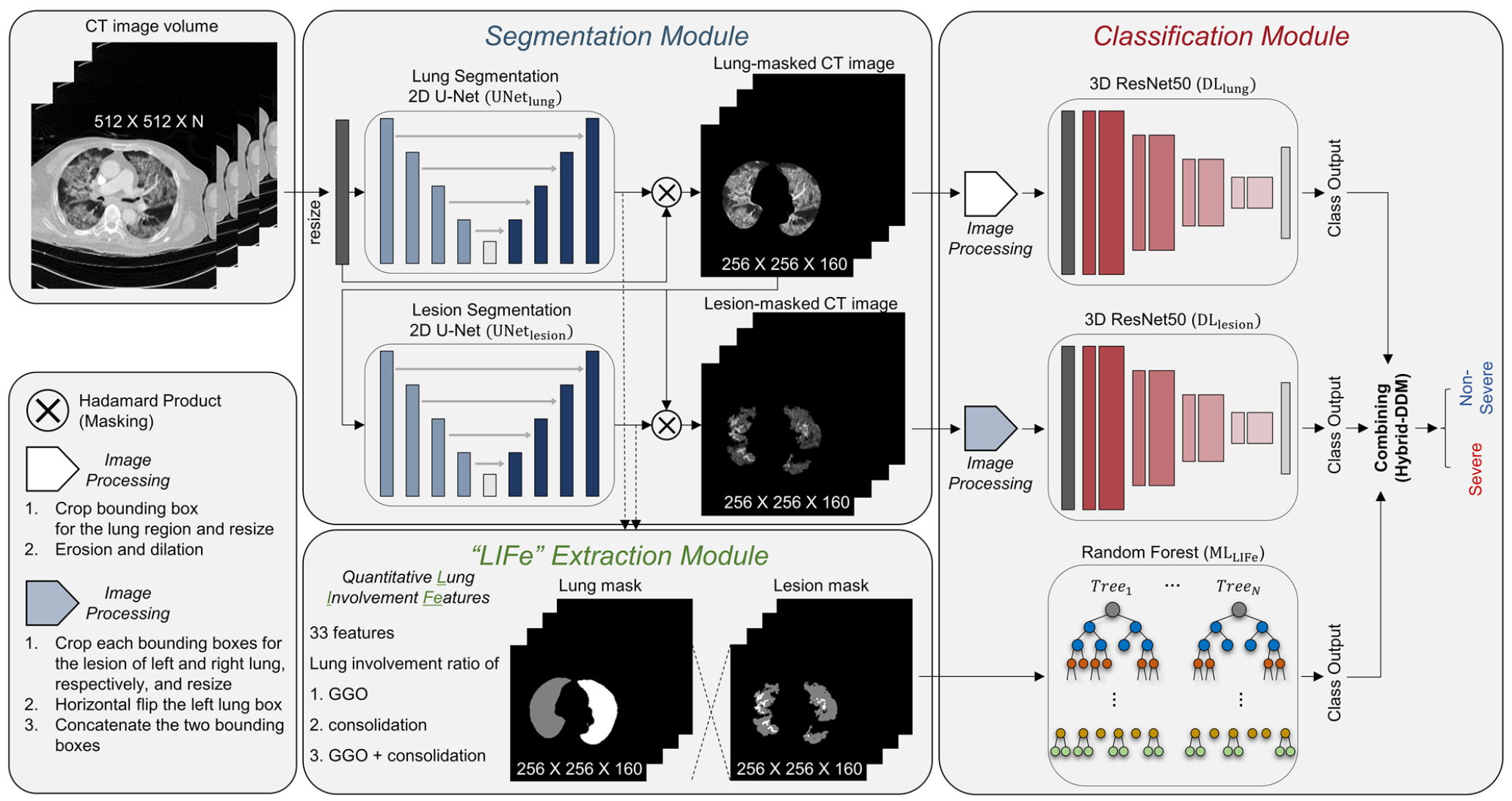 Scientific Reports 2023 Figure