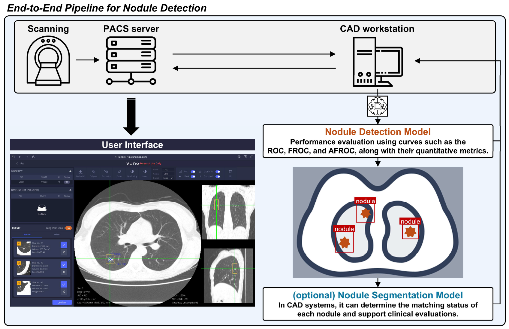 Bioengineering 2024 Figure