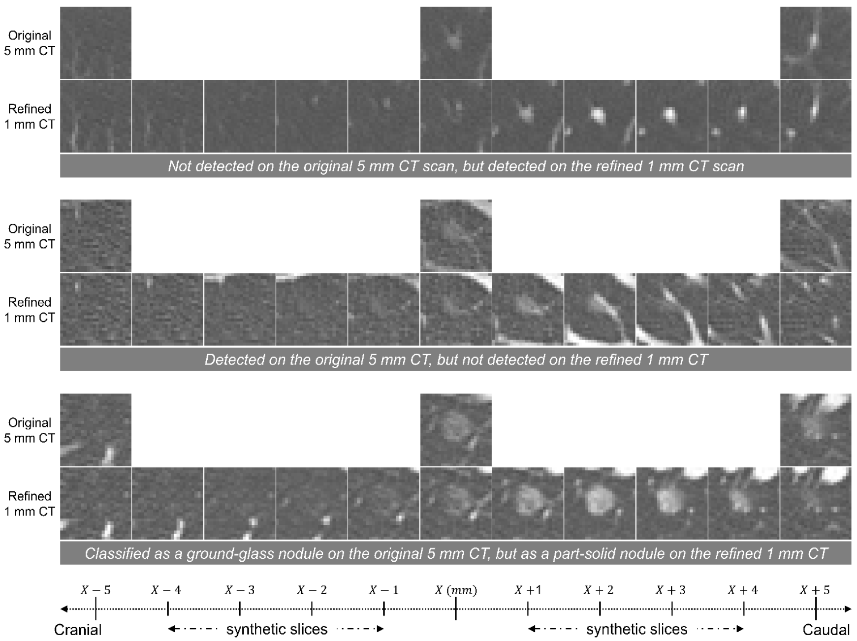 Diagnostics 2024 Figure